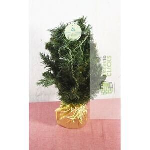 2ft National Christmas Tree Company Pre-Lit Majestic Fir Artificial X-Mas Tree